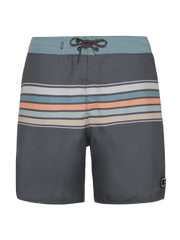 Prtkalford Striped Swim short