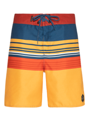 Baxter Swim shorts