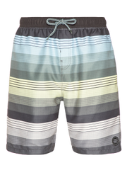 Icon Long swim shorts
