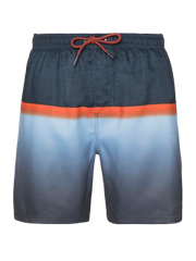 Erwin Swim shorts