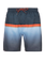 Erwin Swim shorts