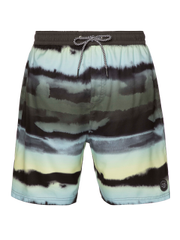 Troy Swim shorts