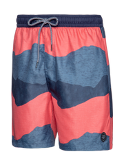 Gilroy Swim shorts