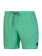 Dave Short swim shorts